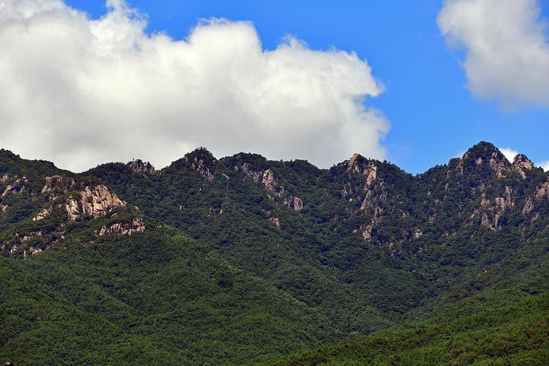 가야권역 소리마실 영농조합법인 시설 사진 11