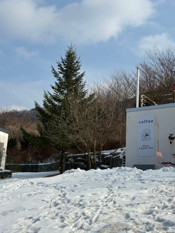 [가평 캠핑장] 포레스트 소울, 노키즈존 깔끔한 애견동반...