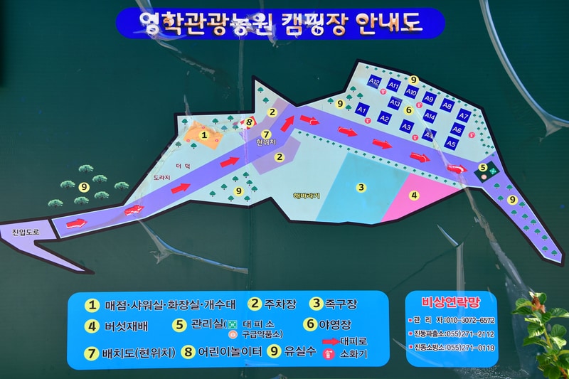 영학관광농원야영장 배치도 1