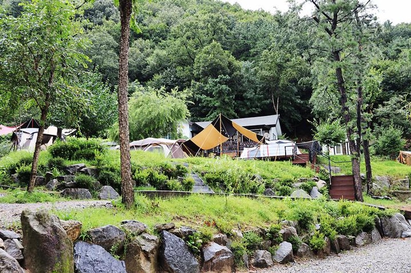 용인 자연숲 캠핑장 대표 사진