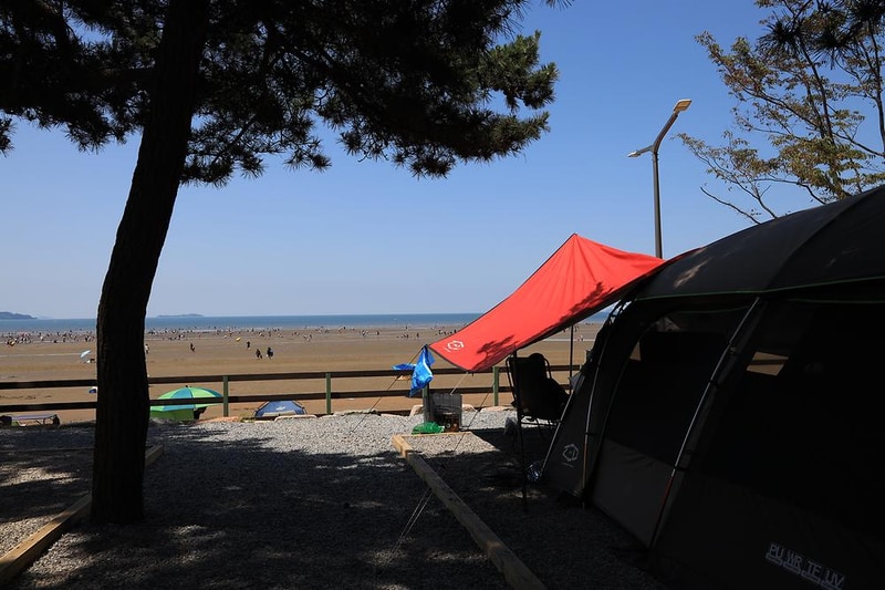 몽산포오토캠핑장 시설 사진 2