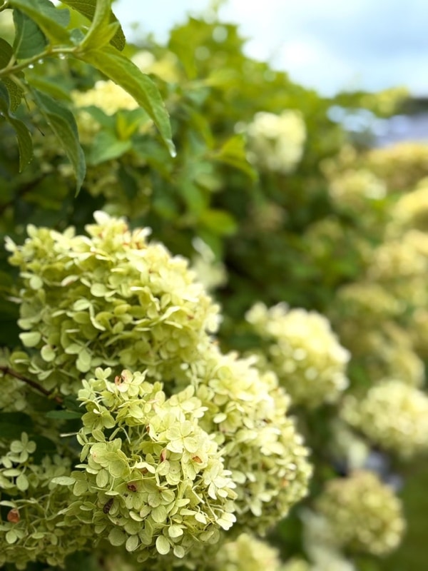 아이와 부모가 행복한 캠핑장, 양평 솔뜰캠핑장