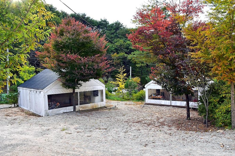 자일랜드 시설 사진 2