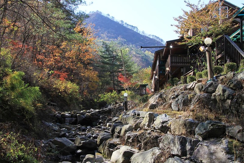 정선 도원펜션&캠핑장 시설 사진 2