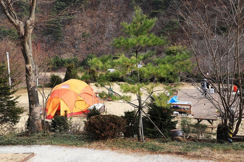 벳소캠프 시설 사진 12