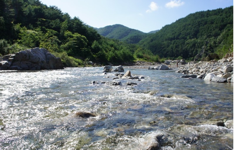 왕피천하늘담야영장 시설 사진 19