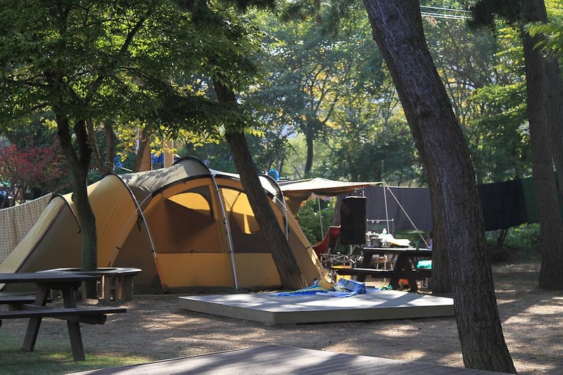 청포대숲속야영장 시설 사진 18