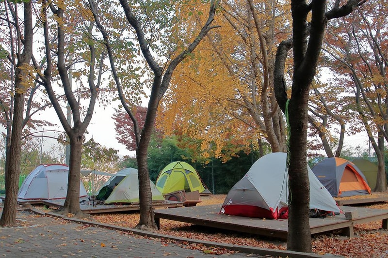 함허동천야영장 시설 사진 5