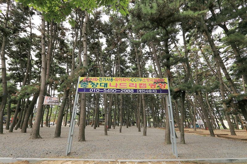 춘장대나드리캠핑장 시설 사진 2