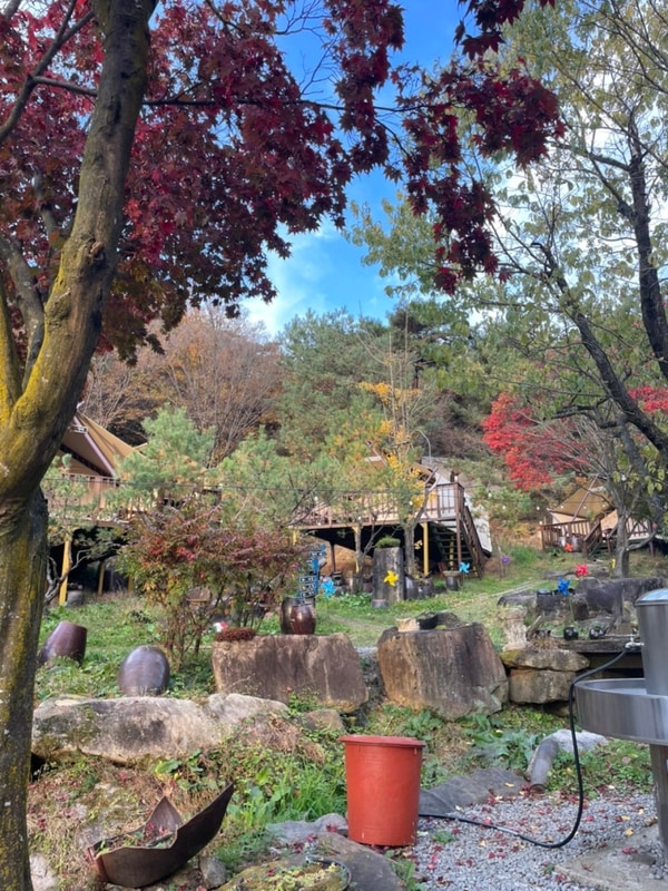 제천 여행; 2024년 11월, 청풍 월드니스 글램핑 새우구이...