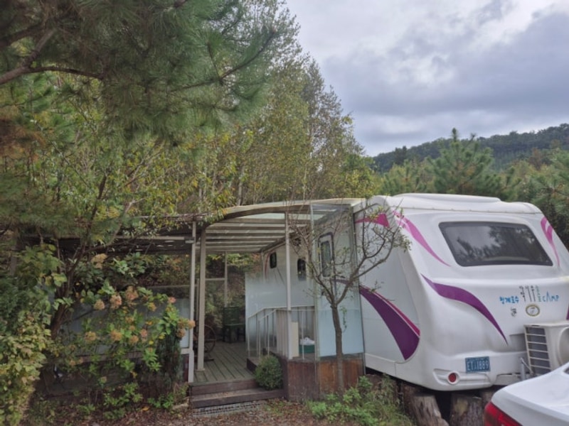 경기도캠핑장 추천, 포천 청계호수 자작나무 숲 캠핑장 카라반...