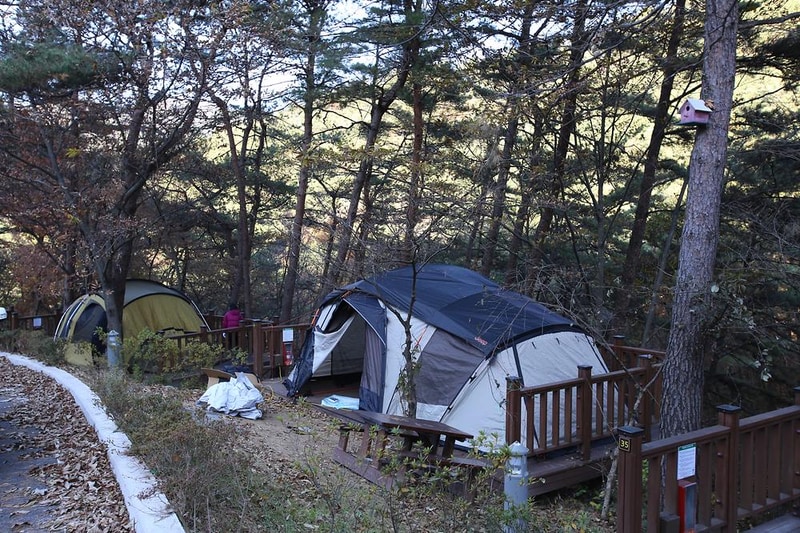 청계동 솔바람야영장 시설 사진 25