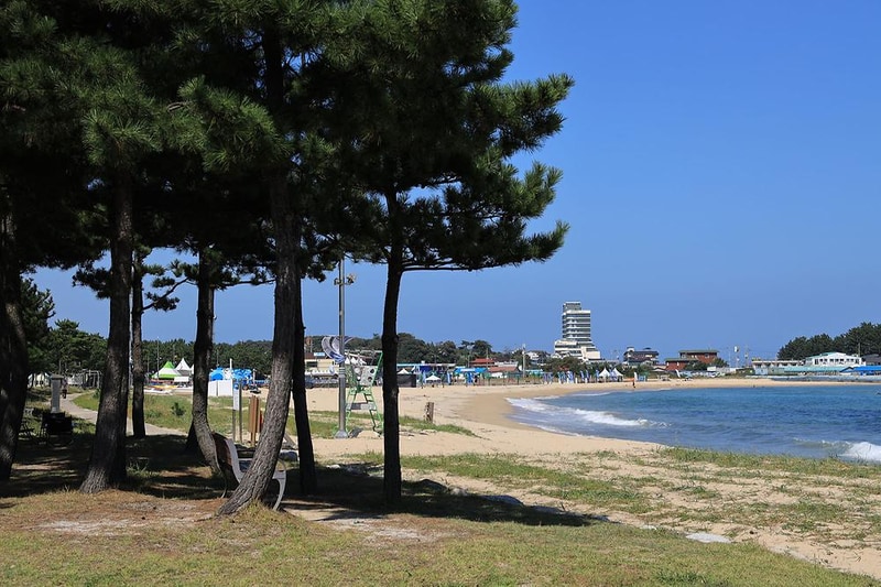 봉수대오토캠핑장 시설 사진 6