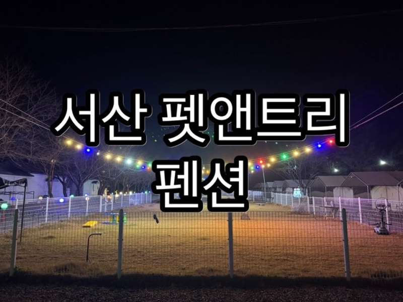 서산펫앤트리펜션, 서산애견글램핑 & 서산애견펜션 솔직 후기!