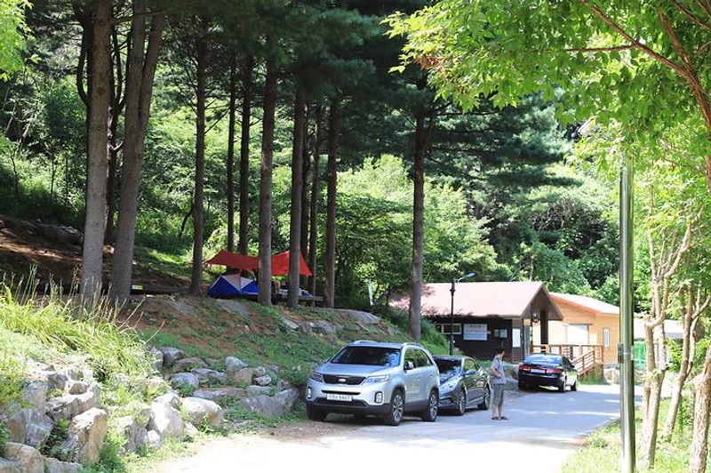 국립자연휴양림관리소(중미산자연휴양림) 대표 사진