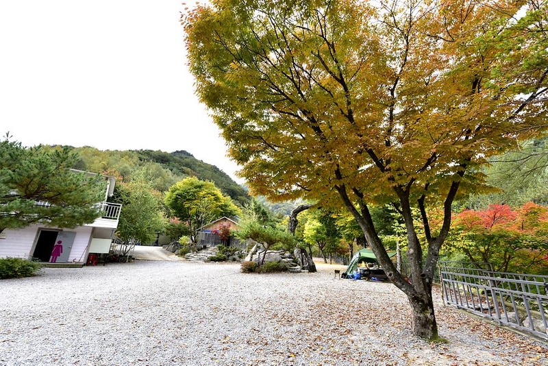 또올래캠핑장 시설 사진 15