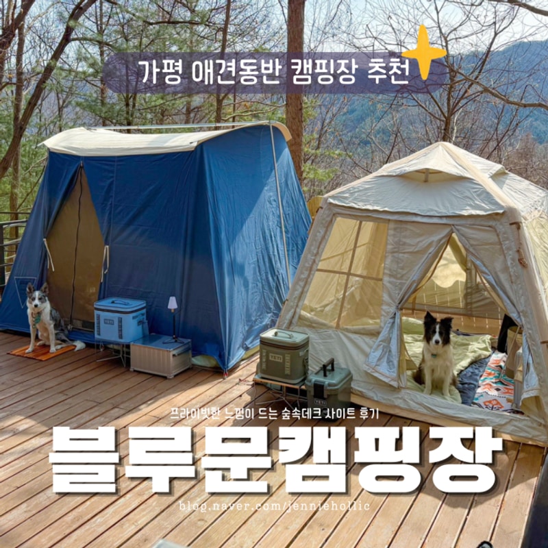 가평 애견동반 캠핑장 블루문캠핑장 숲속데크 13 후기