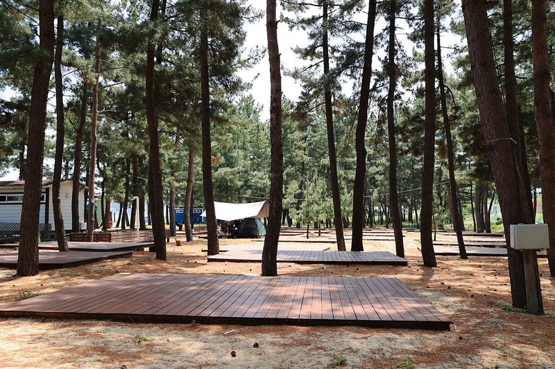 북분솔밭캠핑장 시설 사진 20