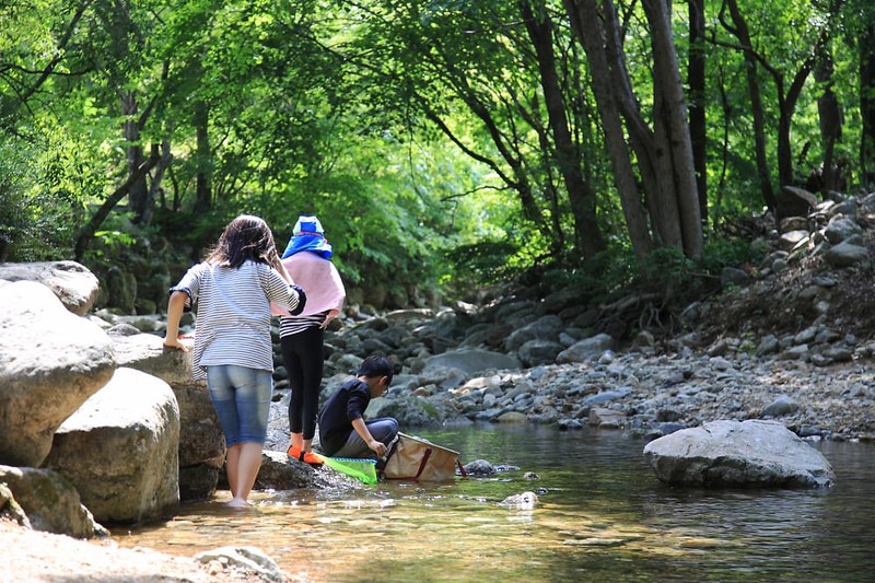 용골송어와 캠핑 시설 사진 14