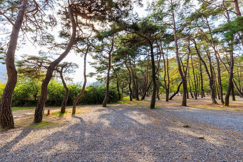 월악산억수솔밭캠핑장 시설 사진 6