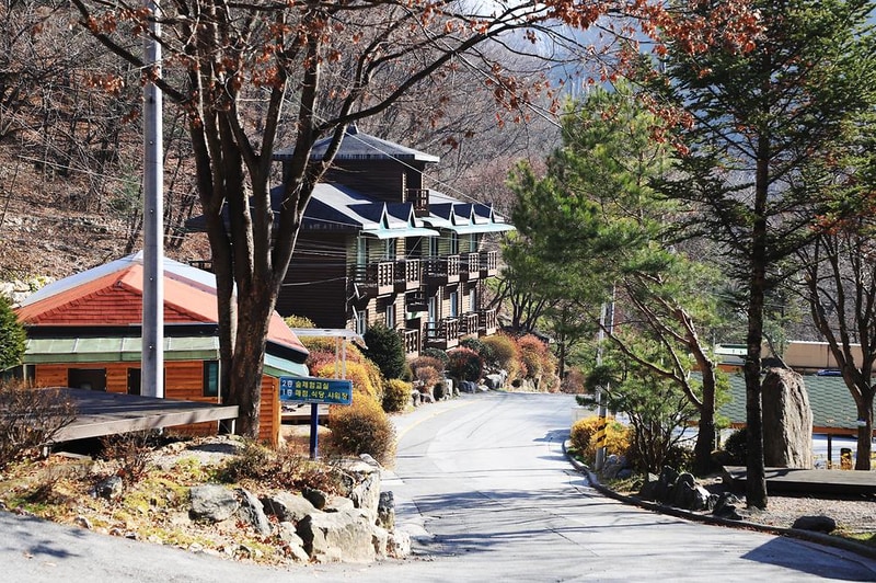 강원도산림개발연구원 집다리골자연휴양림 시설 사진 16