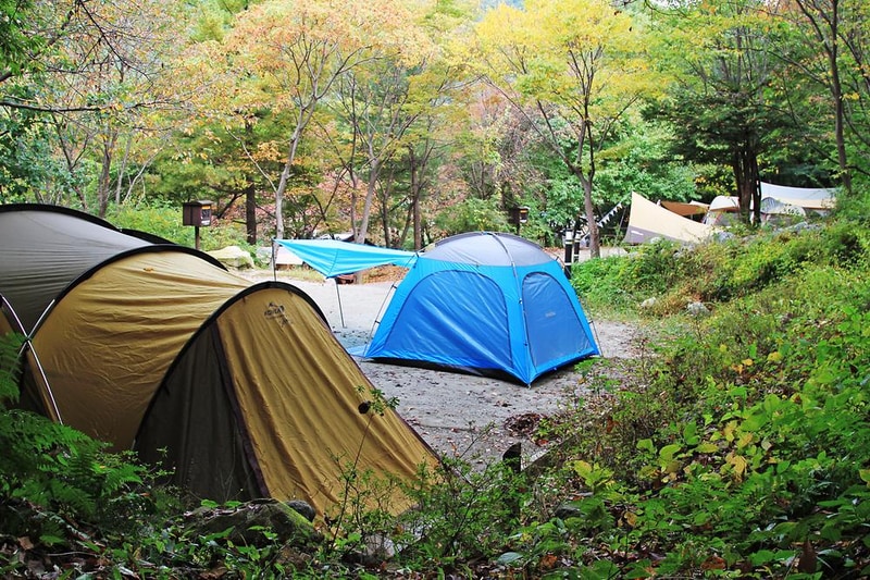 계룡산동학사자동차야영장 시설 사진 20