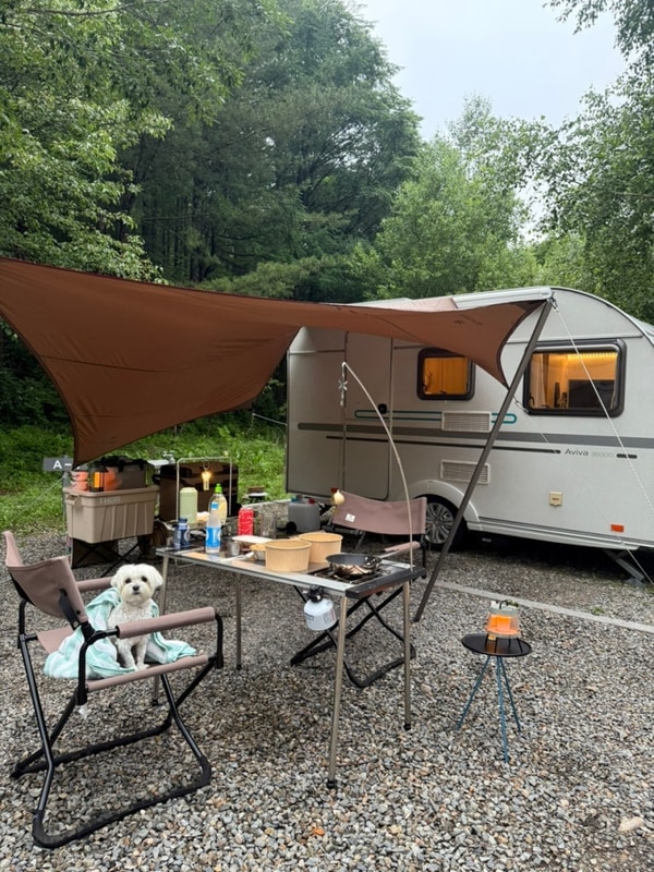 강원도 평창 계방산 오토캠핑장 예약 카라반A 사이트 애견동반...