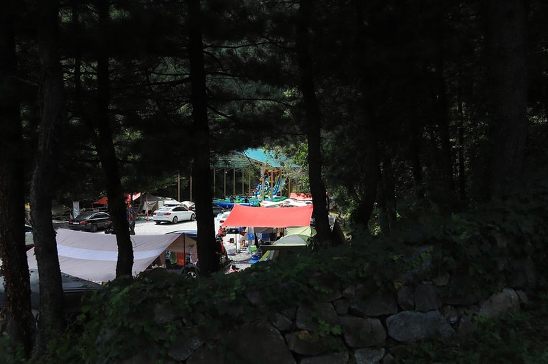 피노키오 자연휴양림 야영장 시설 사진 2