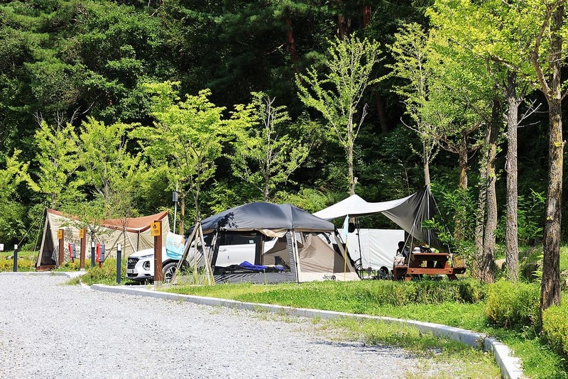 태백고원자연휴양림 자동차야영장 시설 사진 12