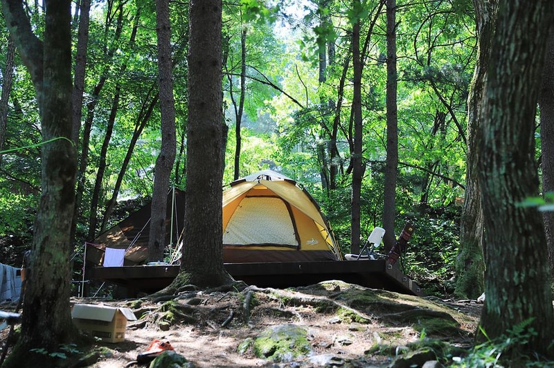 국립용대자연휴양림 시설 사진 7