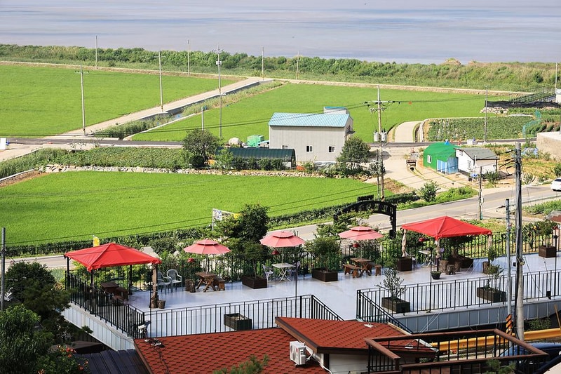 돌담 캠핑&가든 시설 사진 11