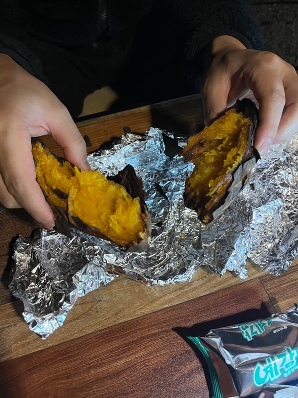 광주 근교 캠핑장 추천 ,장성캠핑장 추천[옛서당캠핑농원]