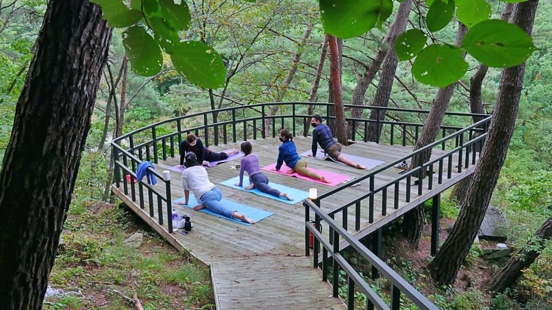 비건캠핑 시설 사진 1