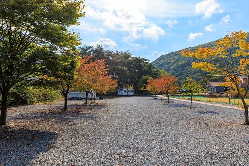 월악산억수솔밭캠핑장 대표 사진