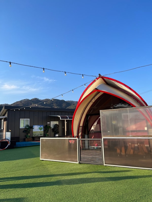 포천 애견동반 글램핑 "쏘쿨이네 글램핑" ㅣ...