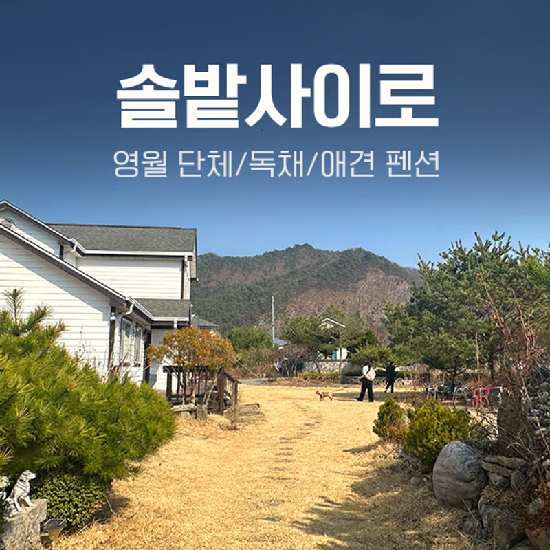영월 단체펜션 독채펜션 애견 펜션 솔밭사이로 캠핑&펜션