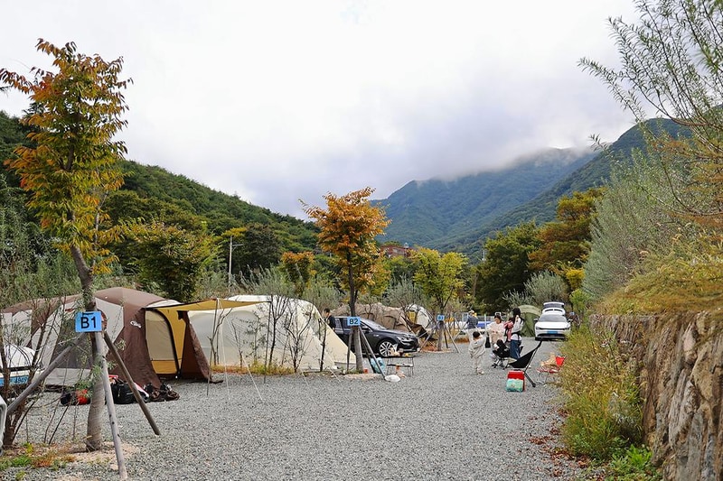 비타민 팜 오토캠핑장 시설 사진 12