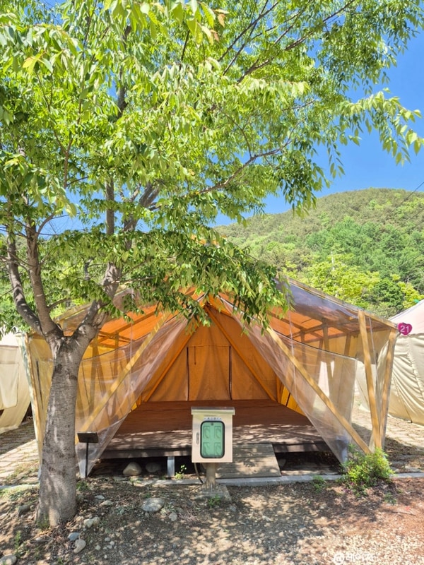 지리산 자양보오토캠핑장/경남산청글램핑/깔끔깨끗한...