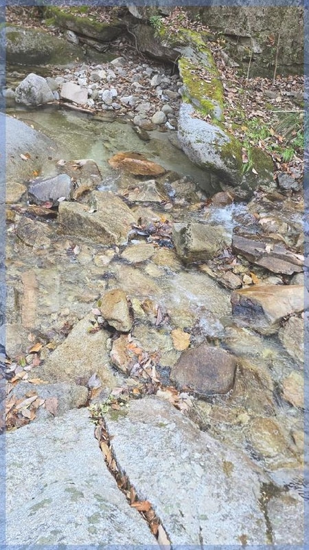 포천의 숨겨진 보석 산중호걸 글램핑카라반에서의 특별한 경험