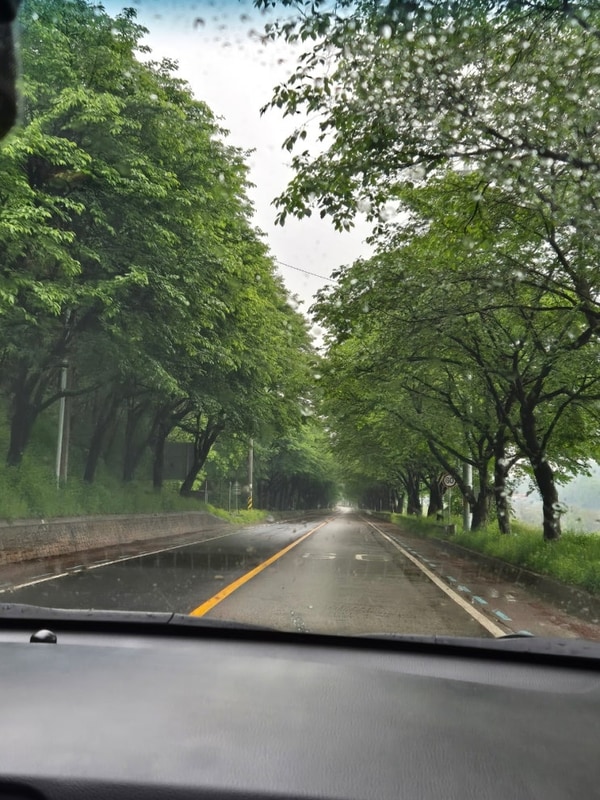 단체캠핑-영월 마루펜션캠핑장(5월3-5일)