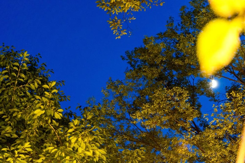 휴레스트 글램핑앤카라반 시설 사진 14