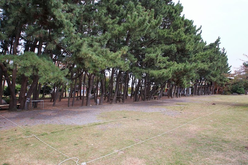 해오름 관광농원 시설 사진 5