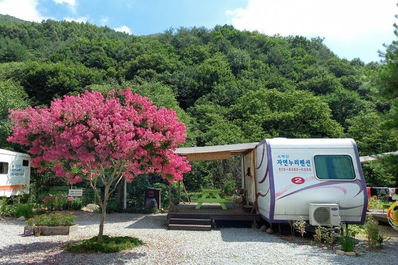 소백산자연누리야영장 시설 사진 12