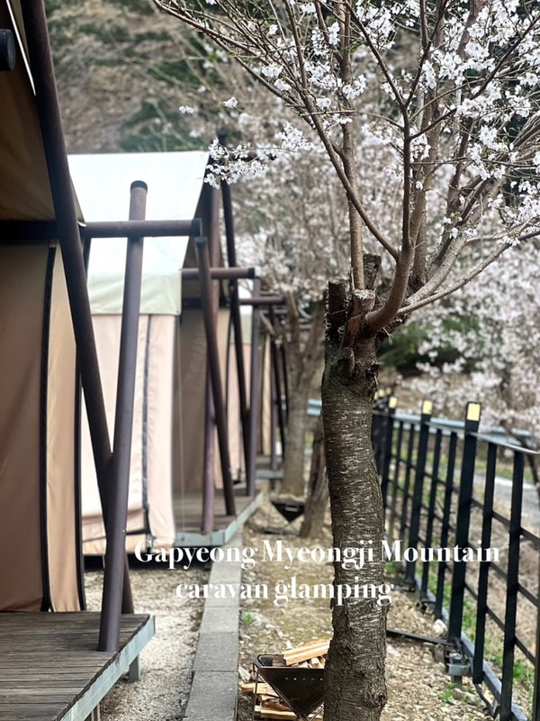 가평오토캠핑장여행 가평명지산카라반글램핑 가평글램핑