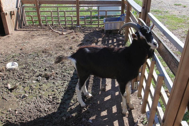 리앤파크 시설 사진 11