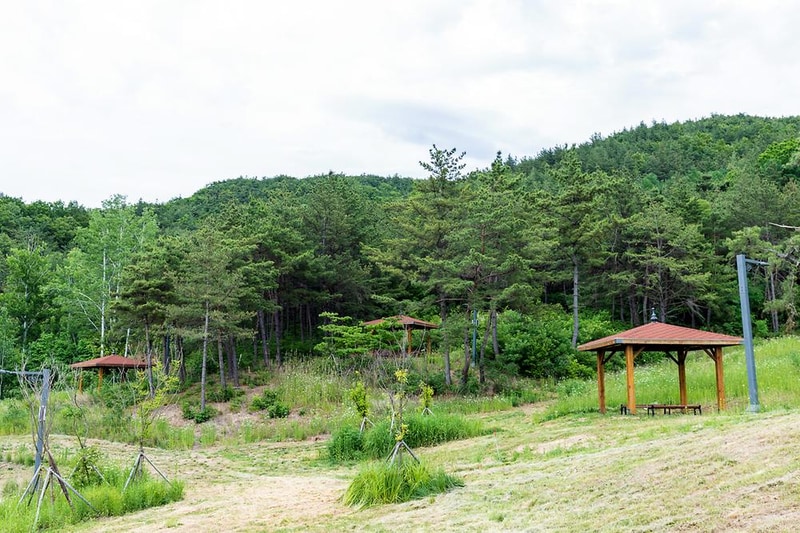 위천수변 테마파크 시설 사진 27