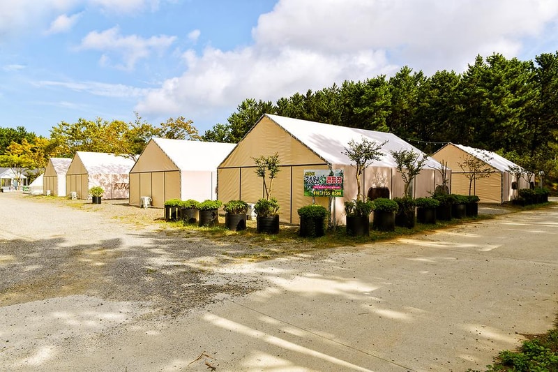 신두리정원오토캠핑야영장 시설 사진 20