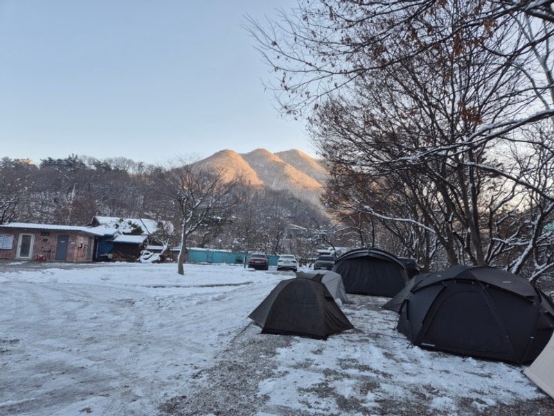 가평 분위기좋은 캠핑장 재방문 100% "485캠핑장"
