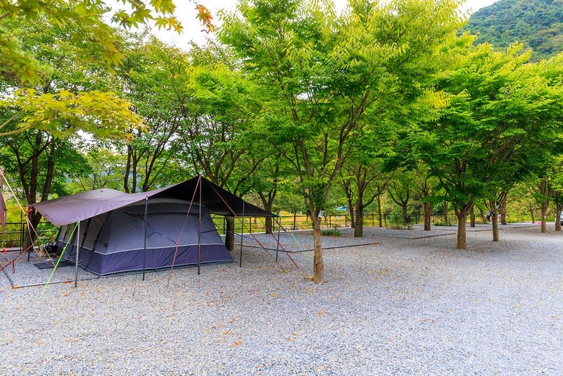 솔내음캠핑장 시설 사진 12