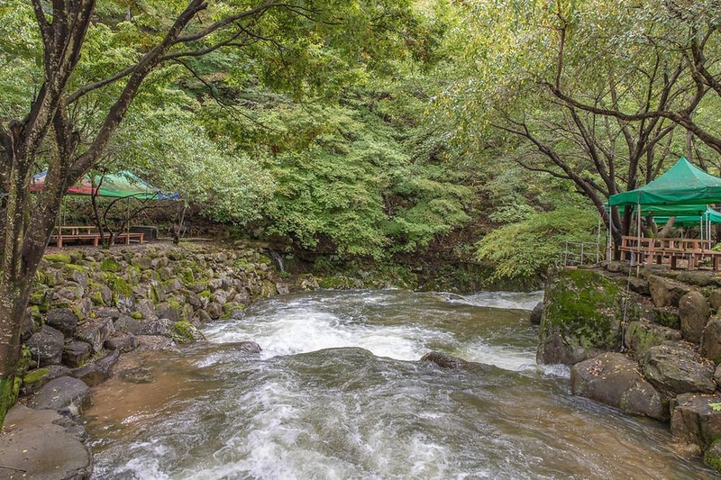 옥수골계곡펜션야영장 시설 사진 15